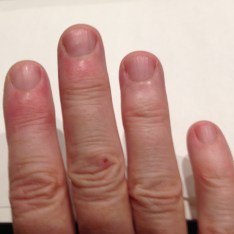 RiceFlakeCrustedHake1